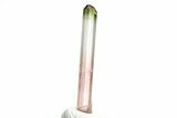 Bi-Colored Elbaite Tourmaline Crystal - Rubaya, Congo #206885-1